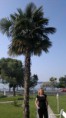 /album/a3-dni-v-chorvatsku-6-8-5-2011-solo-vyjazd/a080520111183-jpg/